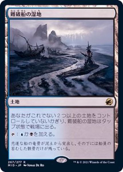 画像1: [EX+]難破船の湿地/Shipwreck Marsh《日本語》【MID】 (1)