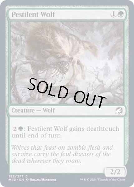 画像1: (FOIL)伝染病の狼/Pestilent Wolf《英語》【MID】 (1)