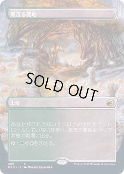 画像1: [EX+](フルアート)草茂る農地/Overgrown Farmland《日本語》【MID】 (1)