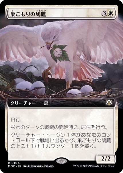 画像1: [EX](フルアート)巣ごもりの鳩鷹/Nesting Dovehawk《日本語》【MOC】 (1)