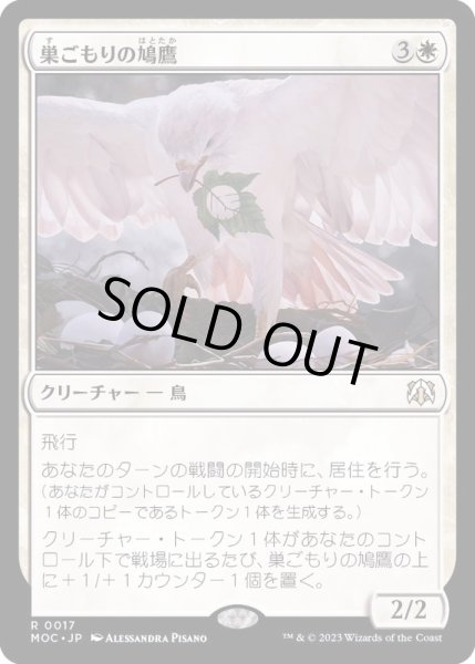 画像1: [EX+]巣ごもりの鳩鷹/Nesting Dovehawk《日本語》【MOC】 (1)