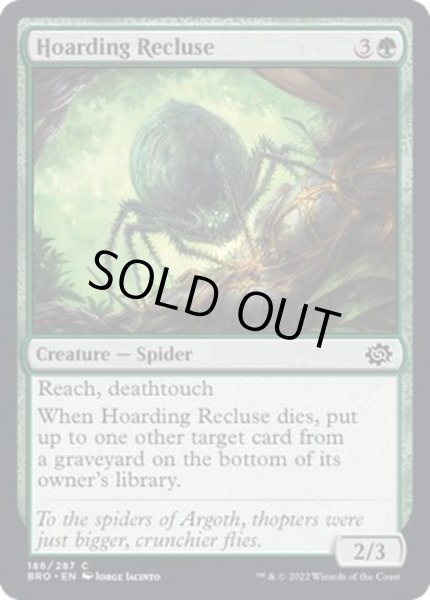 画像1: (FOIL)溜め込むイトグモ/Hoarding Recluse《英語》【BRO】 (1)