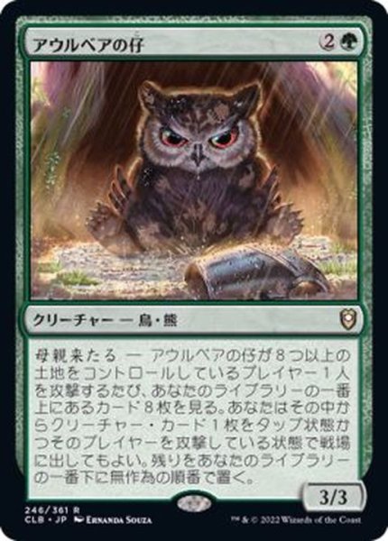 画像1: [EX+]アウルベアの仔/Owlbear Cub《日本語》【CLB】 (1)