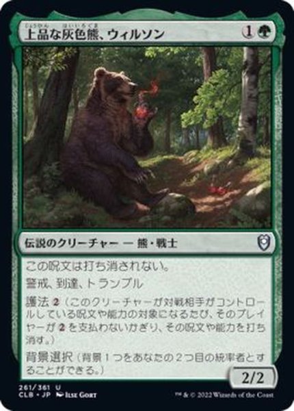 画像1: [EX+]上品な灰色熊、ウィルソン/Wilson, Refined Grizzly《日本語》【CLB】 (1)