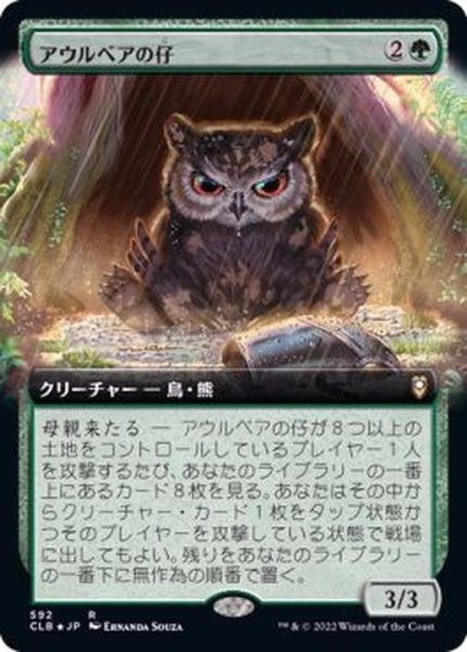 画像1: [EX+](FOIL)(フルアート)アウルベアの仔/Owlbear Cub《日本語》【CLB】 (1)