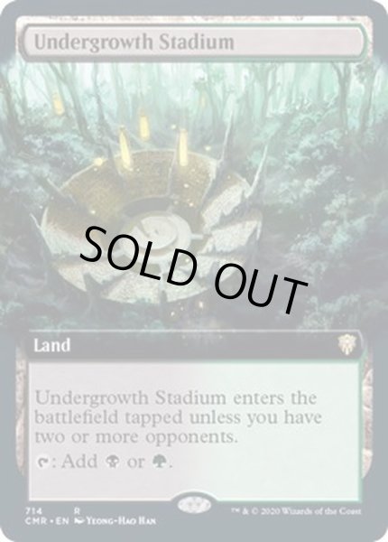 画像1: (FOIL)(フルアート)下生えの競技場/Undergrowth Stadium《英語》【CMR】 (1)