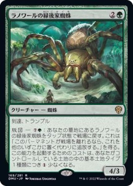 画像1: ラノワールの緑後家蜘蛛/Llanowar Greenwidow《日本語》【DMU】 (1)