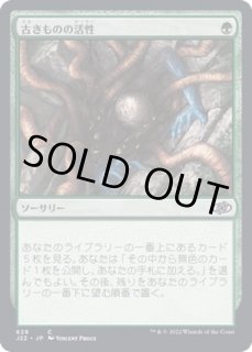 古きものの活性/Ancient Stirrings - カードラッシュ[MTG]