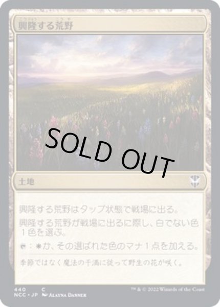 画像1: 興隆する荒野/Thriving Heath《日本語》【NCC】 (1)
