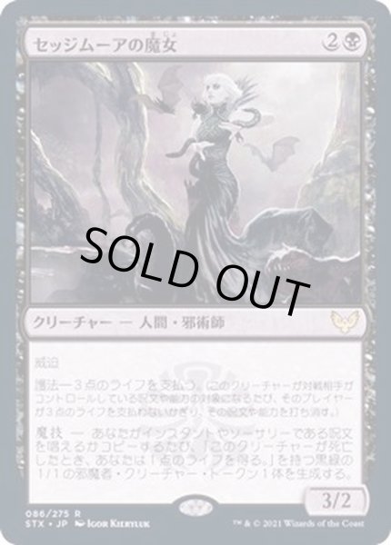 画像1: (FOIL)セッジムーアの魔女/Sedgemoor Witch《日本語》【STX】 (1)