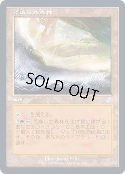 画像1: [EX+](FOIL)(旧枠仕様)荒廃した森林/Blighted Woodland《日本語》【TSR】 (1)