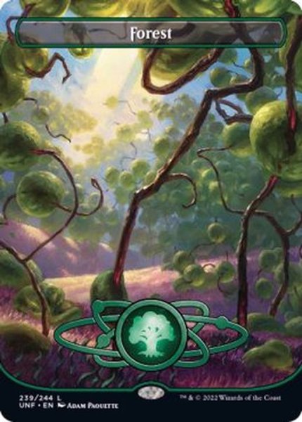 画像1: (フルアート)(239)森/Forest《英語》【UNF】 (1)