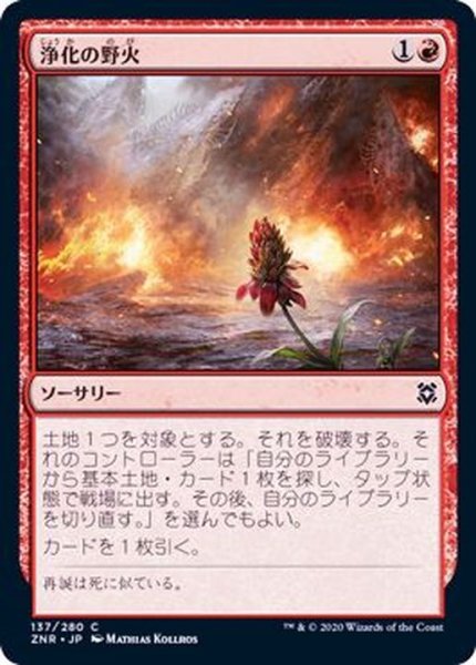 画像1: (FOIL)浄化の野火/Cleansing Wildfire《日本語》【ZNR】 (1)