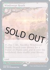 PLD](フルアート)吹きさらしの荒野/Windswept Heath《英語》【ZNE】