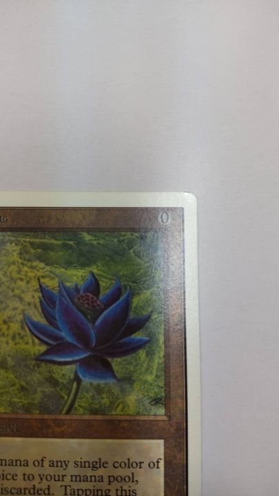 Ex Black Lotus 英語 2ed 1