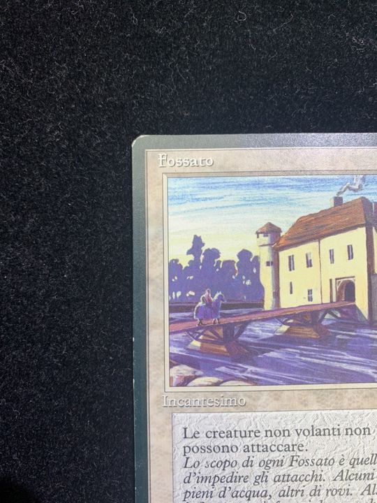特上美品 MTG moat イタリア語 LEG | www.ankuramindia.com