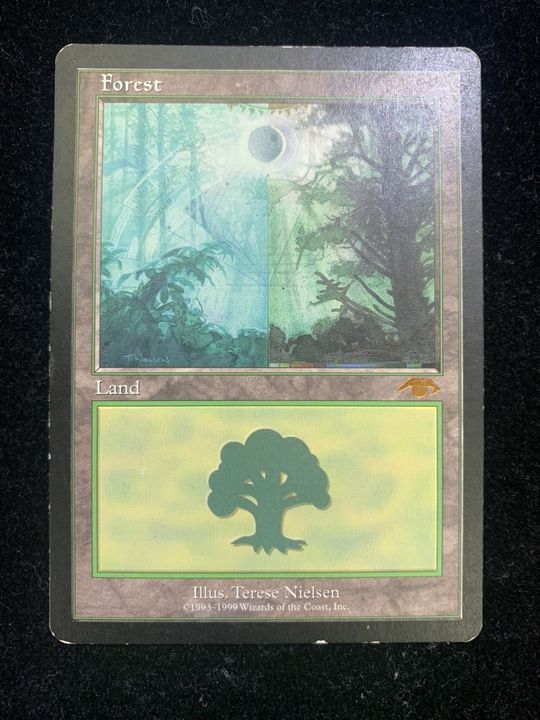 最高の MTG グルランド GURUランド 森 Forest - トレーディングカード