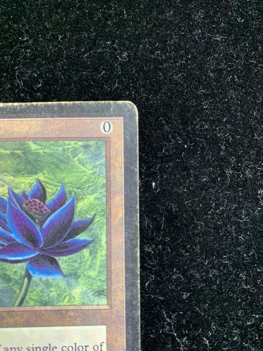 Hpld Black Lotus 英語 Leb 37 Hpld Black Lotus 英語 Leb 37