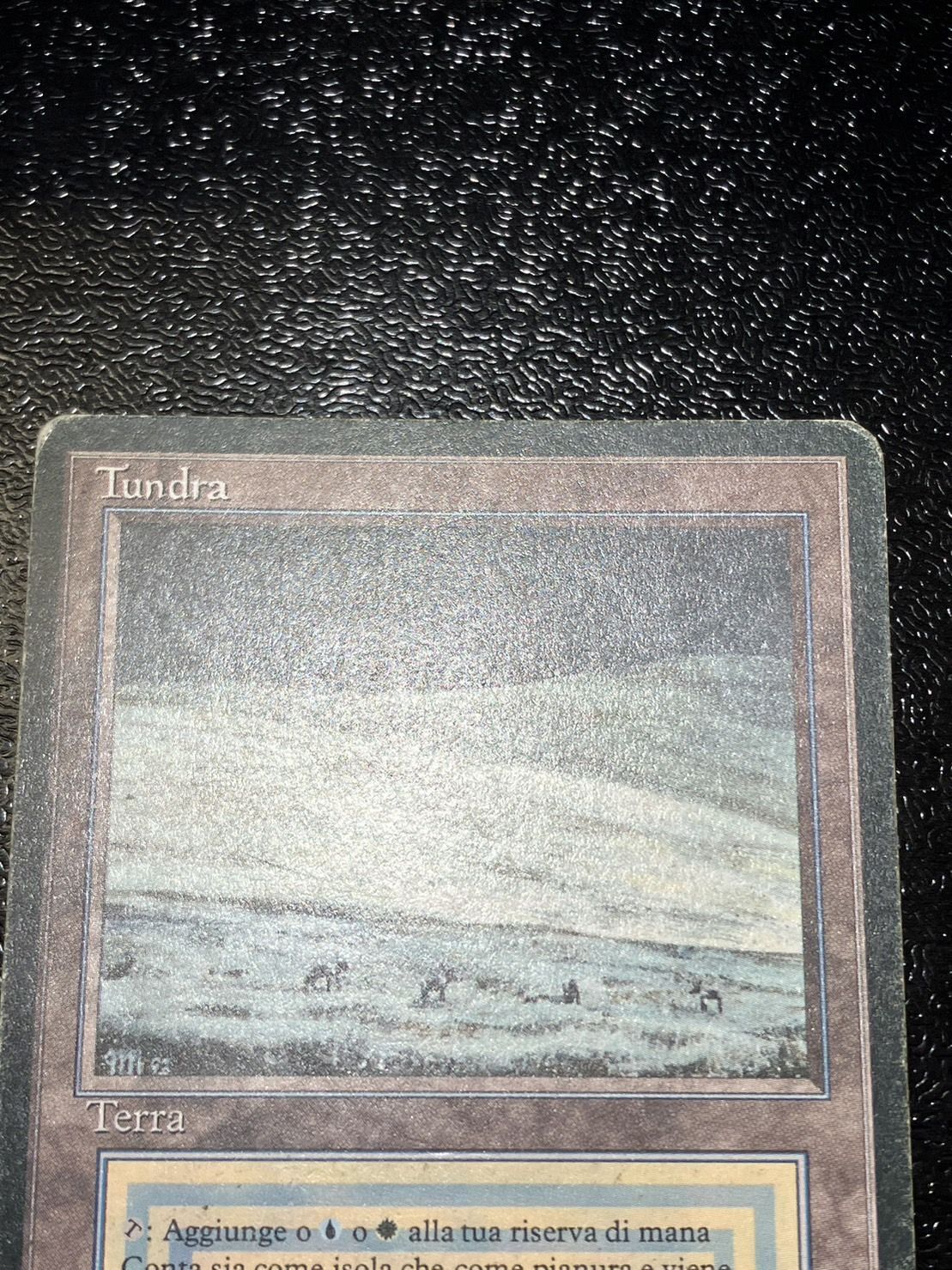 Tundra EN 3ED