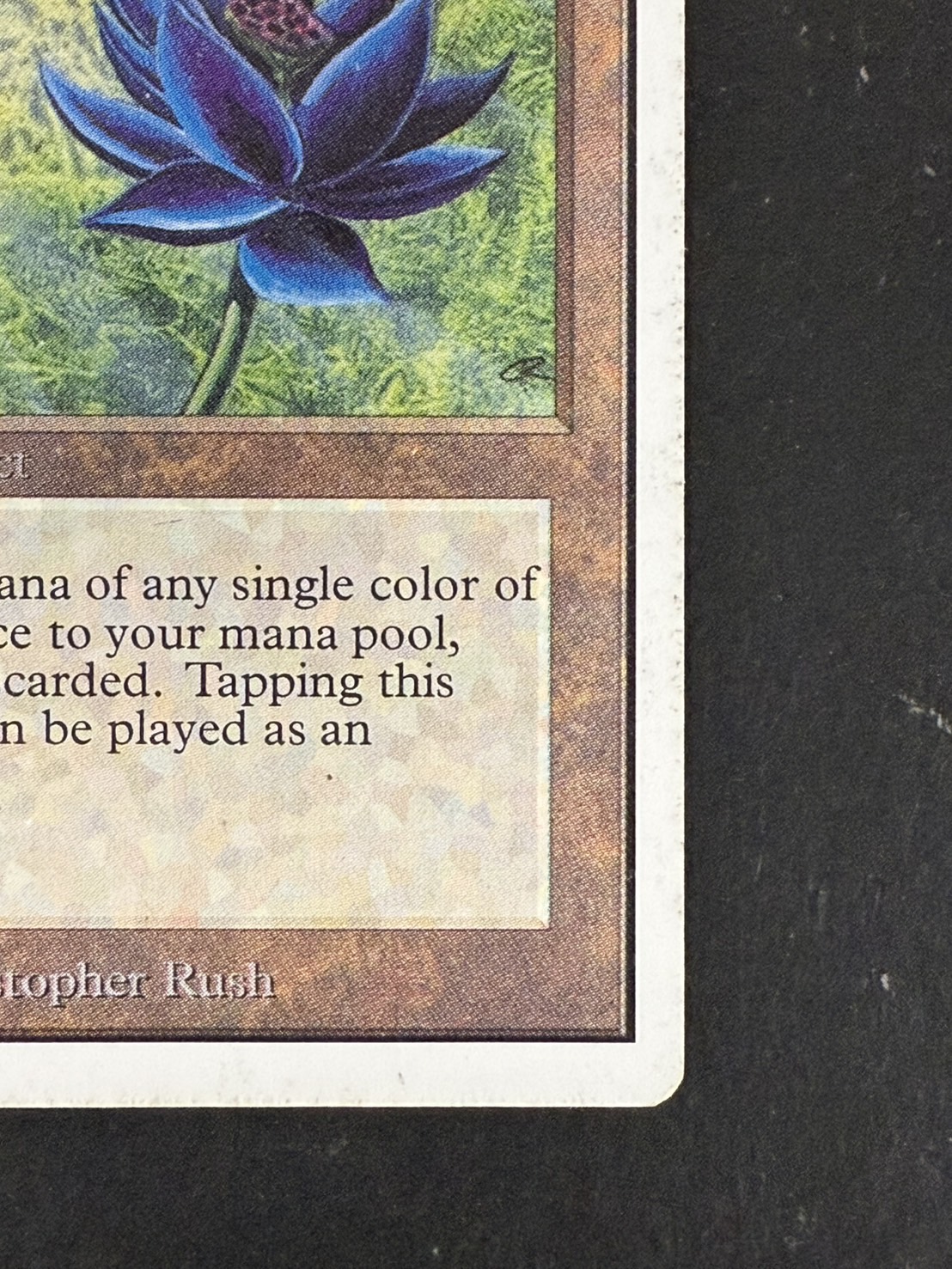 マジック：ザ・ギャザリング - MTG Black lotus 2ED レア Black Lotus [CED] 【BIGWEB | MTG】日本最大級の激安カード