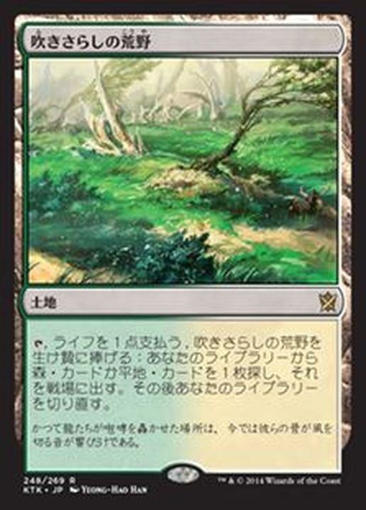 MTG 吹きさらしの荒野 Windswept Heath 日本語版 4枚 NM-