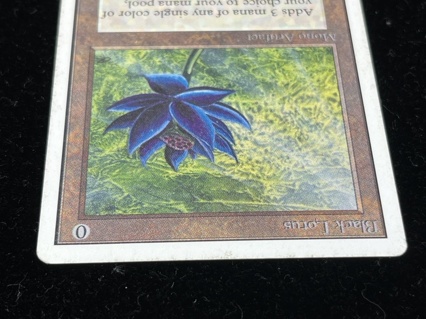 PLD]Black Lotus《英語》【2ED】#237