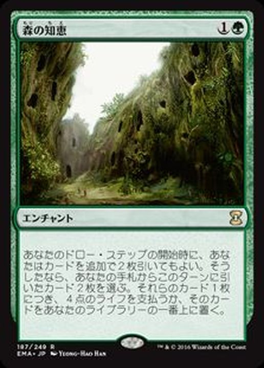 MTG 森の知恵 Foil DMR 全面アート 英語 ② | www.trevires.be