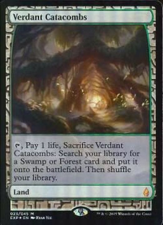 新緑の地下墓地/Verdant Catacombs 英語 Foil マジック：ザ・ギャザリング