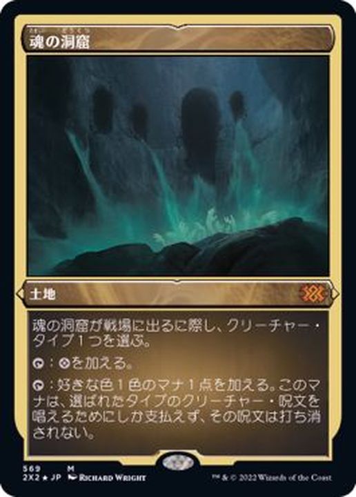 色土地MTG 魂の洞窟 日本語版2枚セット AVR - マジック：ザ・ギャザリング