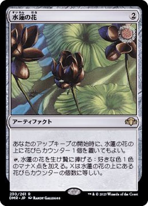 水蓮の花/Lotus Blossom《日本語》【DMR】